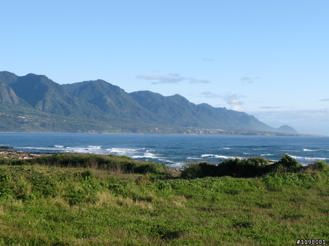 【探索‧冒險‧追求自由】花東地區、阿里山、高樹神獅、杉林溪