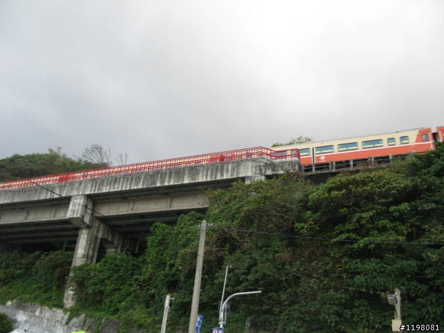 【探索‧冒險‧追求自由】花東地區、阿里山、高樹神獅、杉林溪