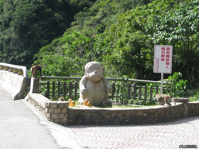 【探索‧冒險‧追求自由】花東地區、阿里山、高樹神獅、杉林溪