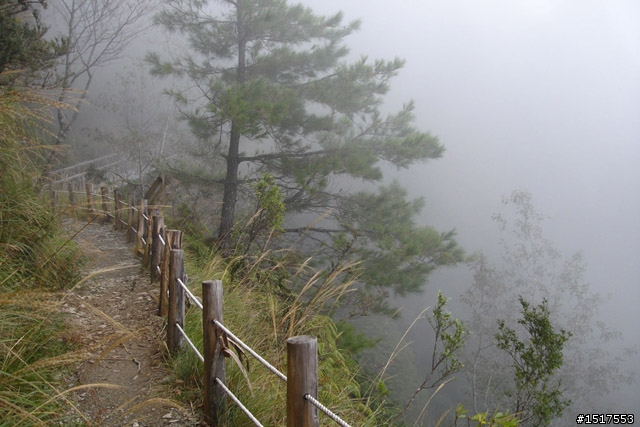 小白鵝之單人太平山2日1夜遊