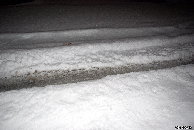 積雪囉!11/12更新影片