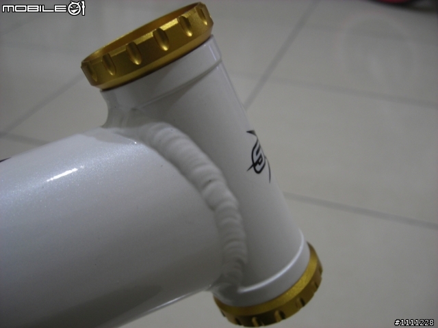 11/21 想組一台不一樣的小徑(折)車(照片補上可參考) 第一階段完工