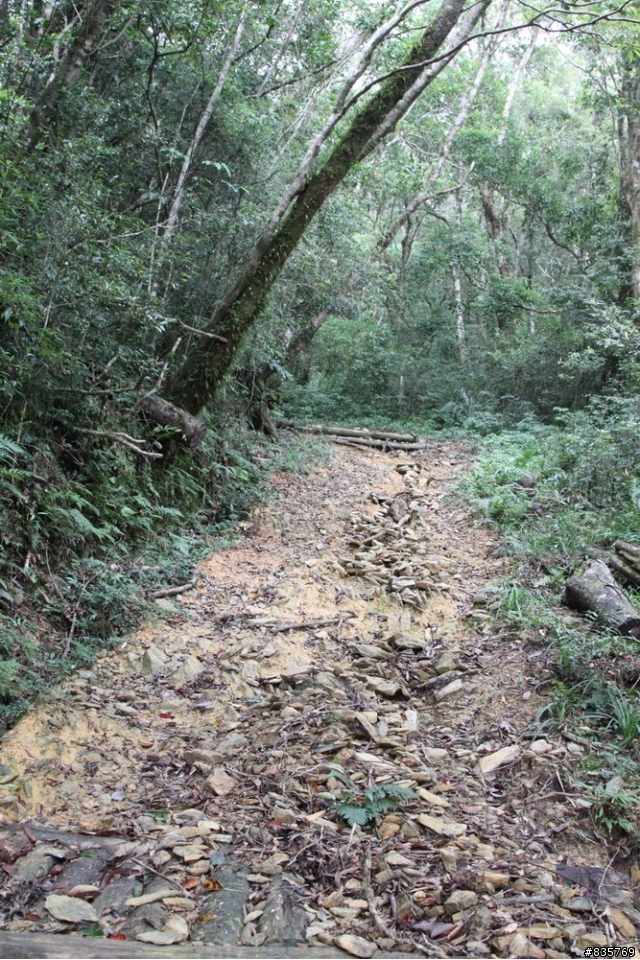 生死騎一回之浸水營古道