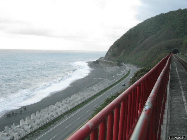 【探索‧冒險‧追求自由】花東地區、阿里山、高樹神獅、杉林溪