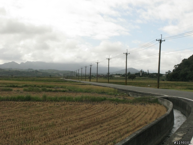 【探索‧冒險‧追求自由】花東地區、阿里山、高樹神獅、杉林溪