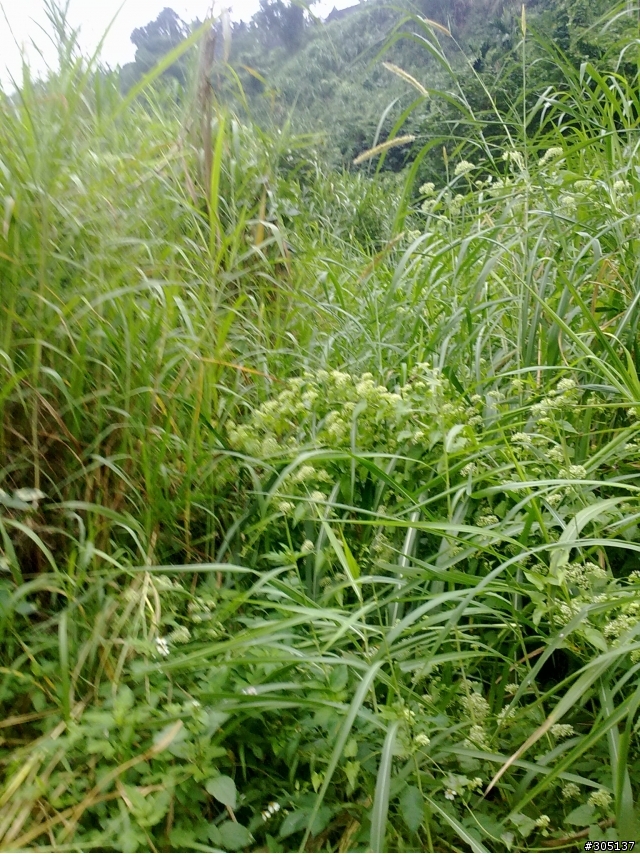 孫老師~您的菜來了~