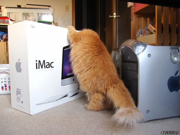iMac 21.5的頭香搶不到了,來點兒另類的“肥貓”開箱文