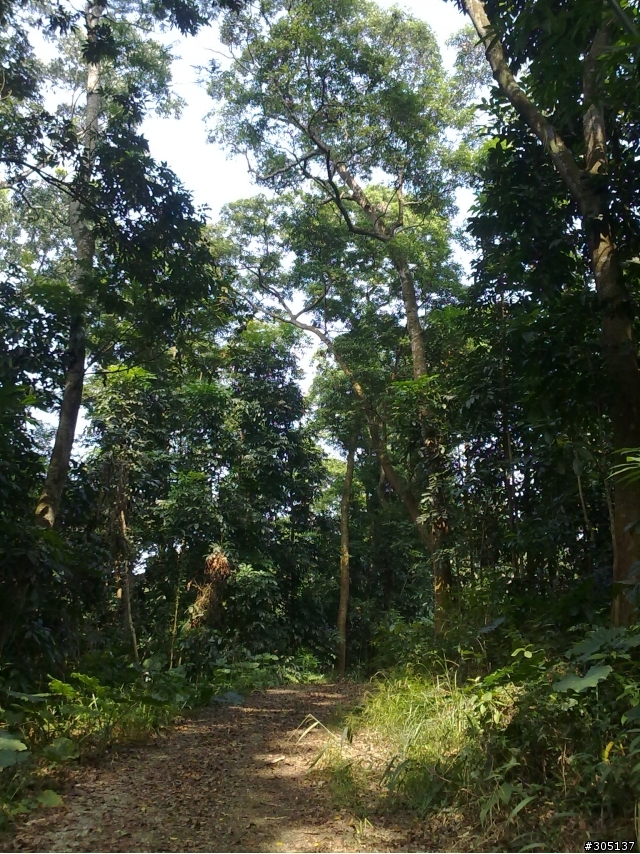 OFF-ROAD~上卡連四摔~