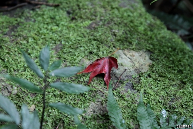 生死騎一回之浸水營古道