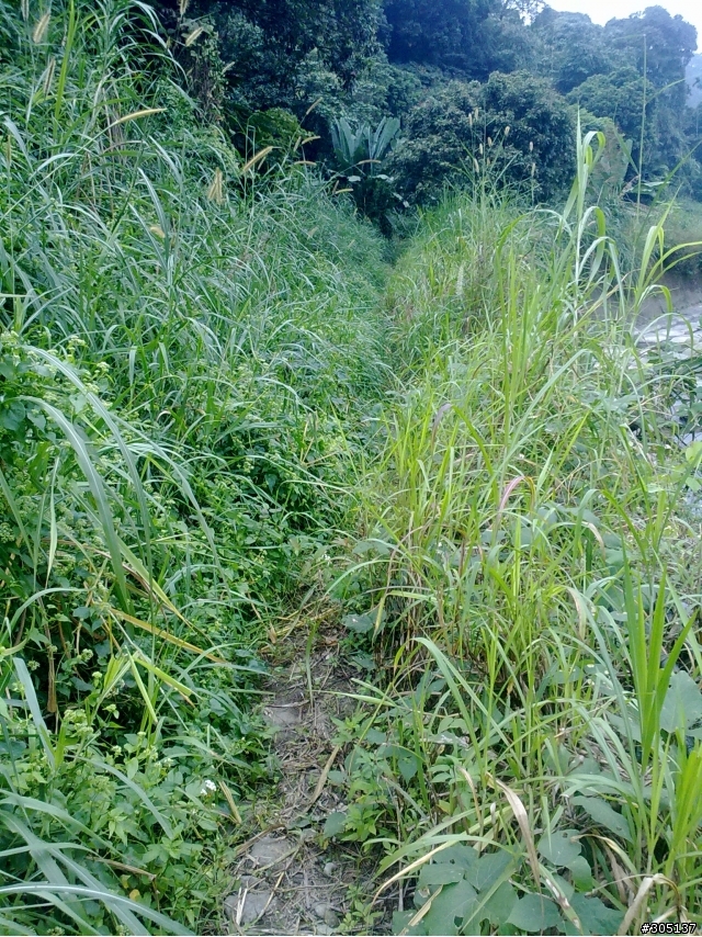 孫老師~您的菜來了~