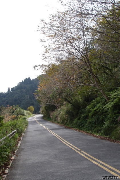 小白鵝之單人太平山2日1夜遊