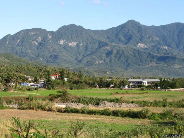 【探索‧冒險‧追求自由】花東地區、阿里山、高樹神獅、杉林溪