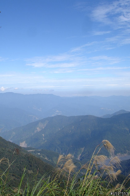 小白鵝之單人太平山2日1夜遊