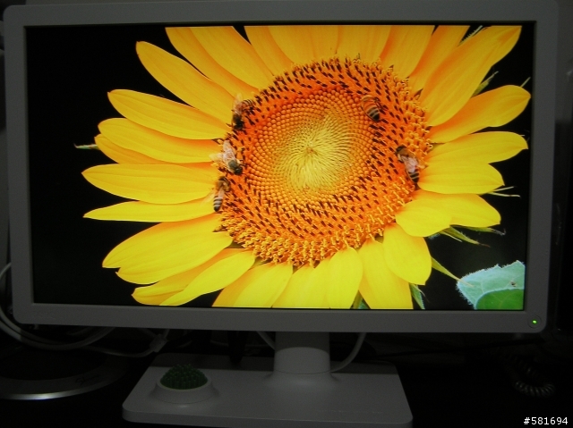 視覺真色彩-BenQ V2400 ECO開箱&試用