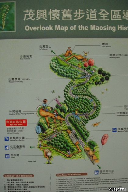 小白鵝之單人太平山2日1夜遊