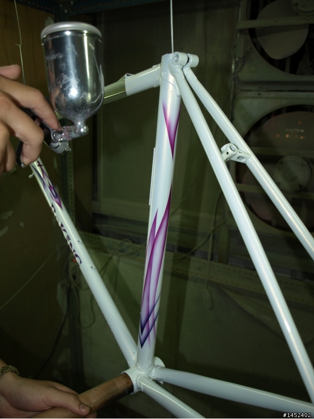 我的車架在獨一獨二專業級客製噴漆之開箱文!!! 吼吼吼 !!!