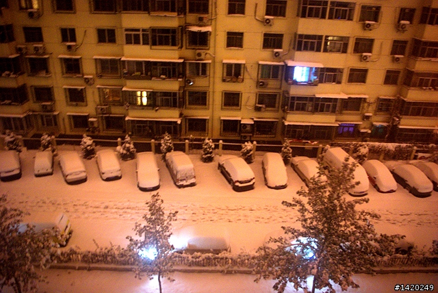 積雪囉!11/12更新影片