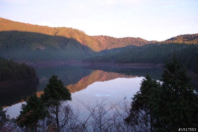 小白鵝之單人太平山2日1夜遊