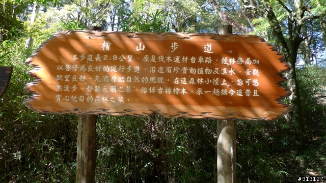 聆聽山林的痛.. 觀霧國家森林遊樂區