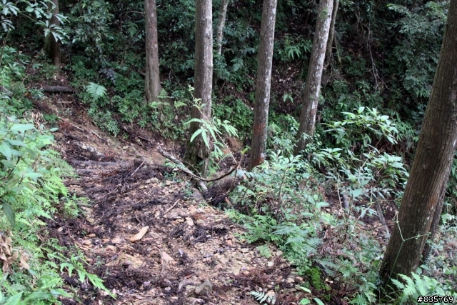 生死騎一回之浸水營古道