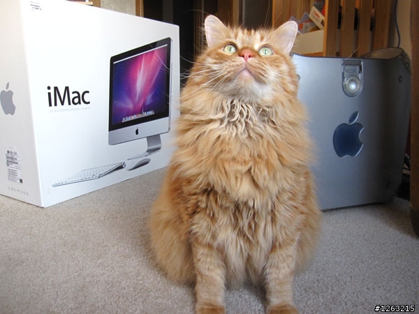 iMac 21.5的頭香搶不到了,來點兒另類的“肥貓”開箱文