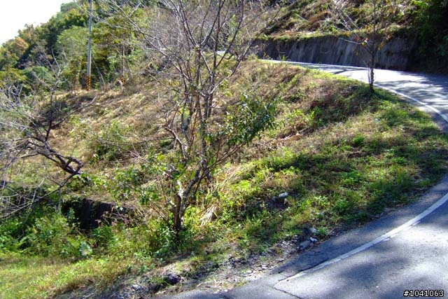 (小更新 ) PART4 環島 說走就走!! 11/9~11/16