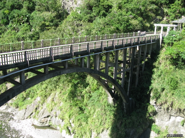 【探索‧冒險‧追求自由】花東地區、阿里山、高樹神獅、杉林溪