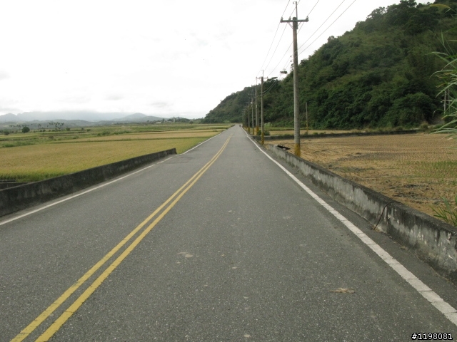 【探索‧冒險‧追求自由】花東地區、阿里山、高樹神獅、杉林溪