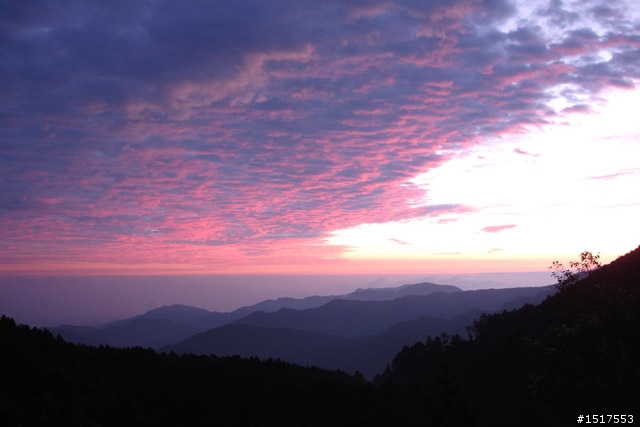 小白鵝之單人太平山2日1夜遊