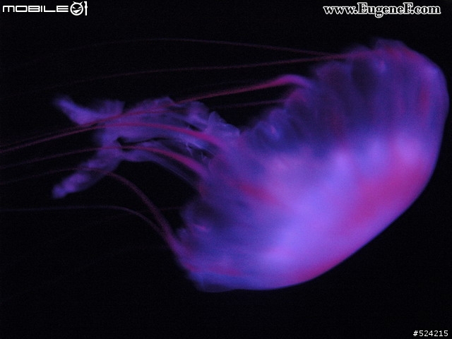 互動趣味的情境燈飾~Yantouch Touch Control LED JellyDice Mood Lamp Light