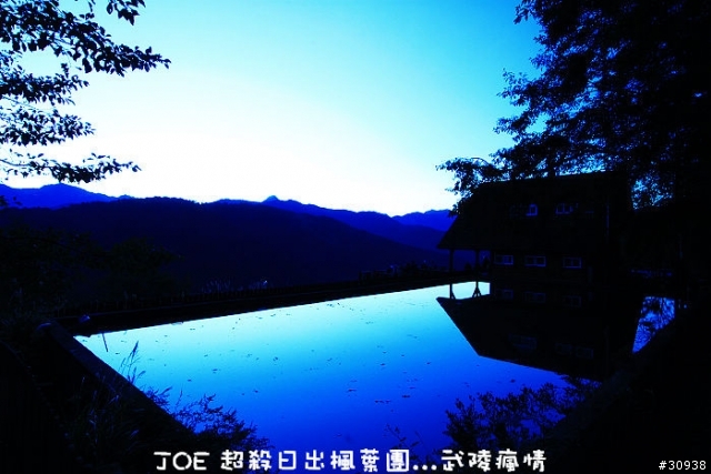 武陵 攝日拍楓 必殺團(圖多慎入)大成功...