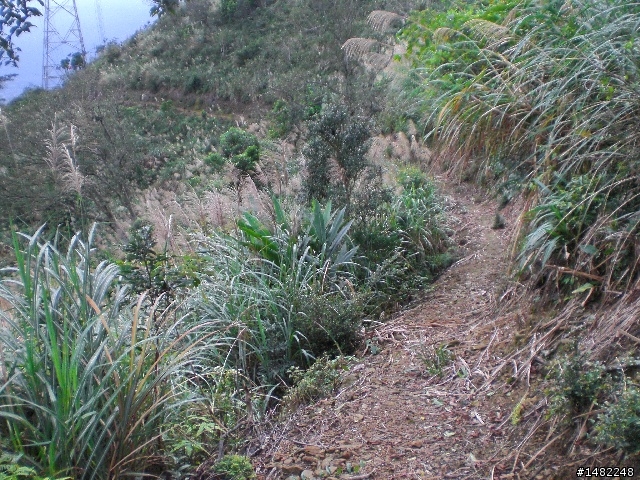 宜蘭礁溪青春嶺OFFROAD