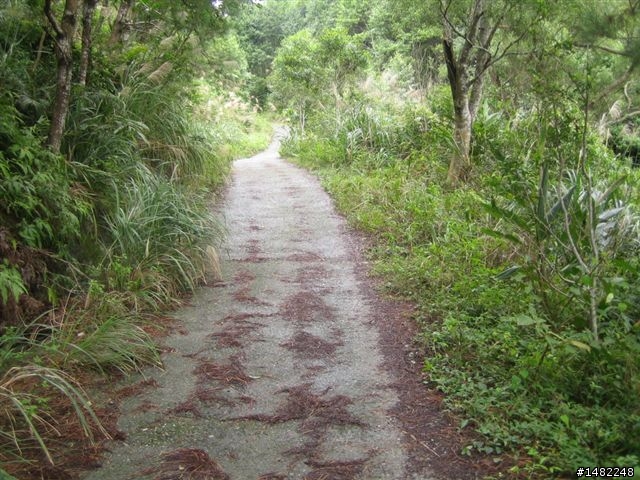宜蘭礁溪青春嶺OFFROAD