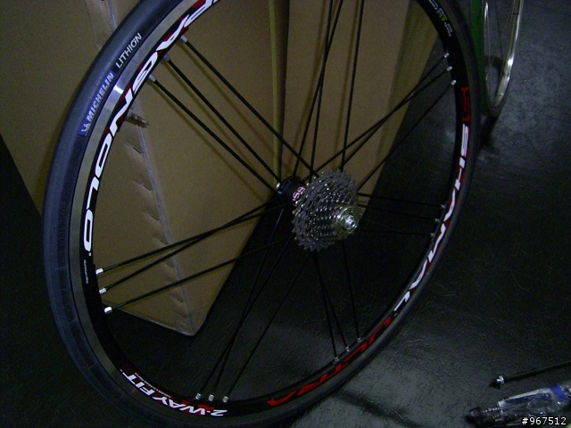 2010年Campagnolo shamal黑瞎貓分享