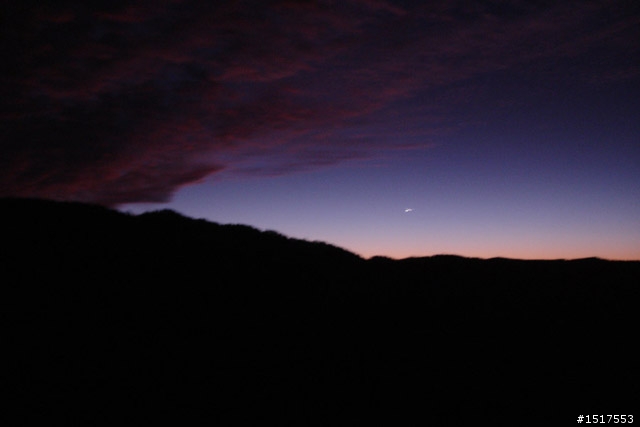小白鵝之單人太平山2日1夜遊