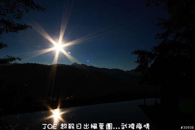 武陵 攝日拍楓 必殺團(圖多慎入)大成功...
