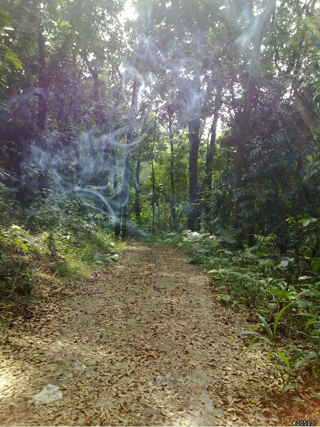 OFF-ROAD~上卡連四摔~