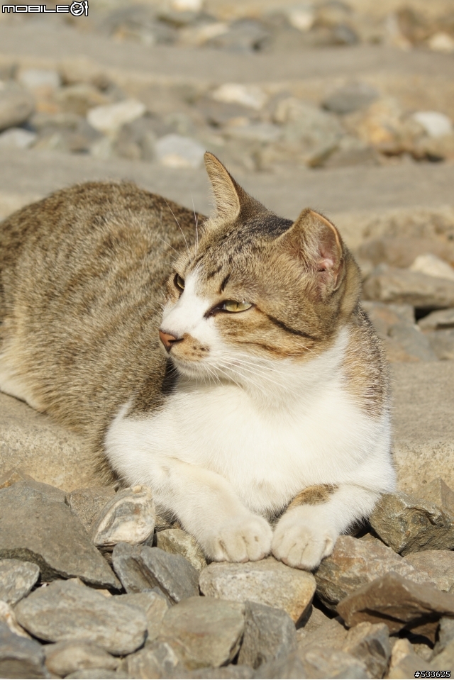 跟75-300mm+DT18-55mm的約會
