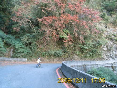 12/11在雲端騎車,初次挑戰大雪山林道,美不勝收