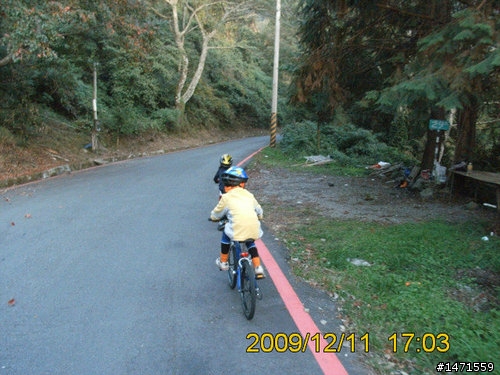 12/11在雲端騎車,初次挑戰大雪山林道,美不勝收