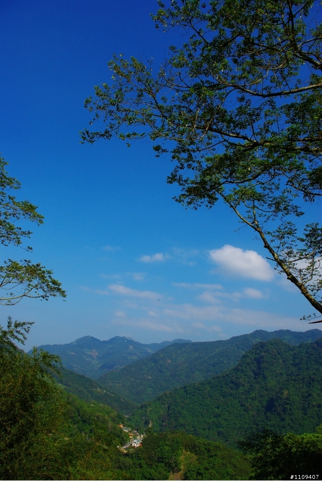 尋找楓葉:和平部落爬上羅山林道