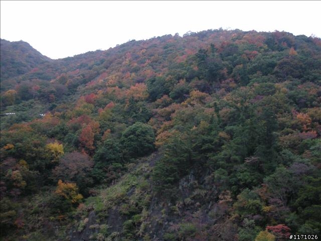 三度殘念的雙雙北(四北)