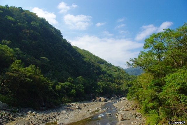 尋找楓葉:和平部落爬上羅山林道