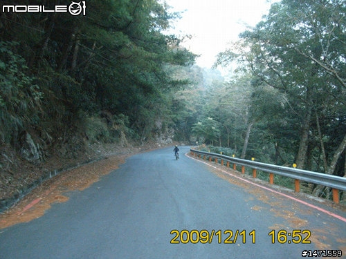 12/11在雲端騎車,初次挑戰大雪山林道,美不勝收