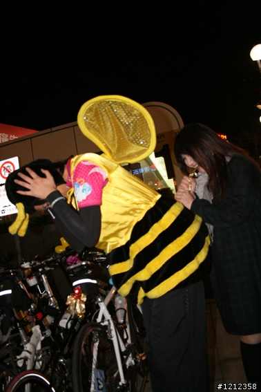 2009林北野貓賽照片區!