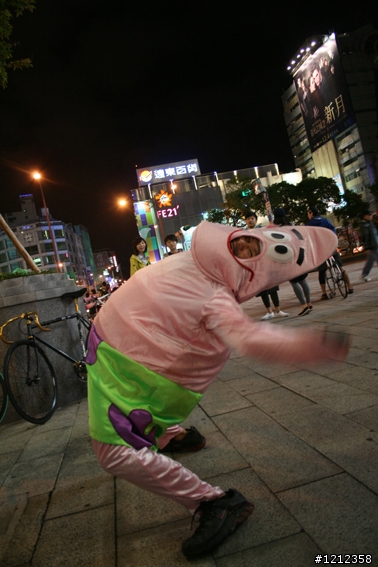 2009林北野貓賽照片區!