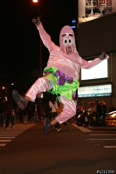2009林北野貓賽照片區!