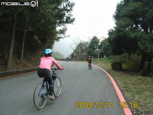 12/11在雲端騎車,初次挑戰大雪山林道,美不勝收