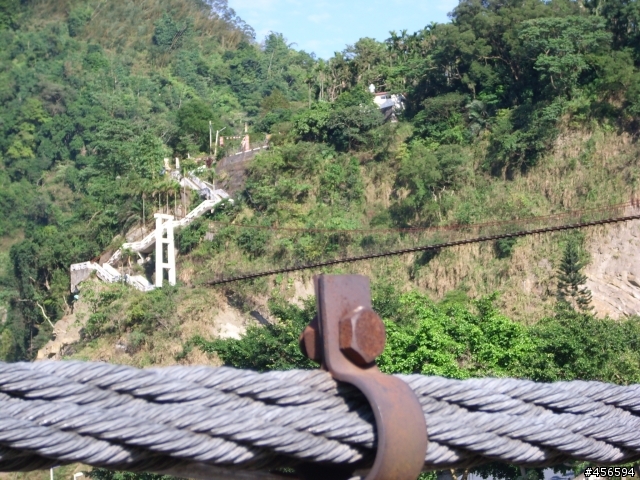 對不起我偷跑:2009冬至 新中橫-阿里山 (新增山林交響曲)