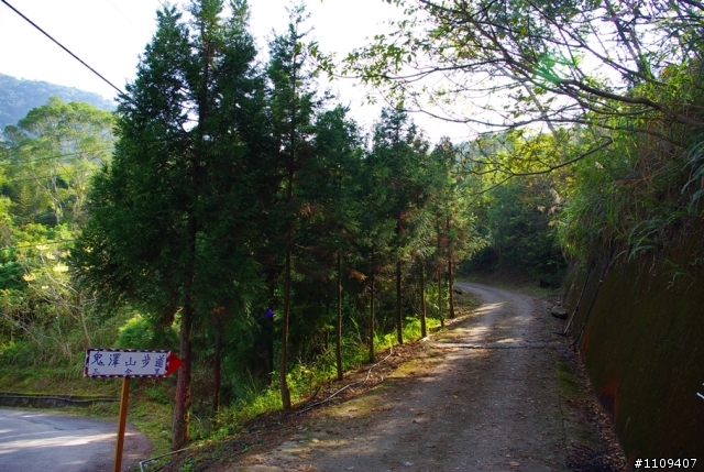 尋找楓葉:和平部落爬上羅山林道